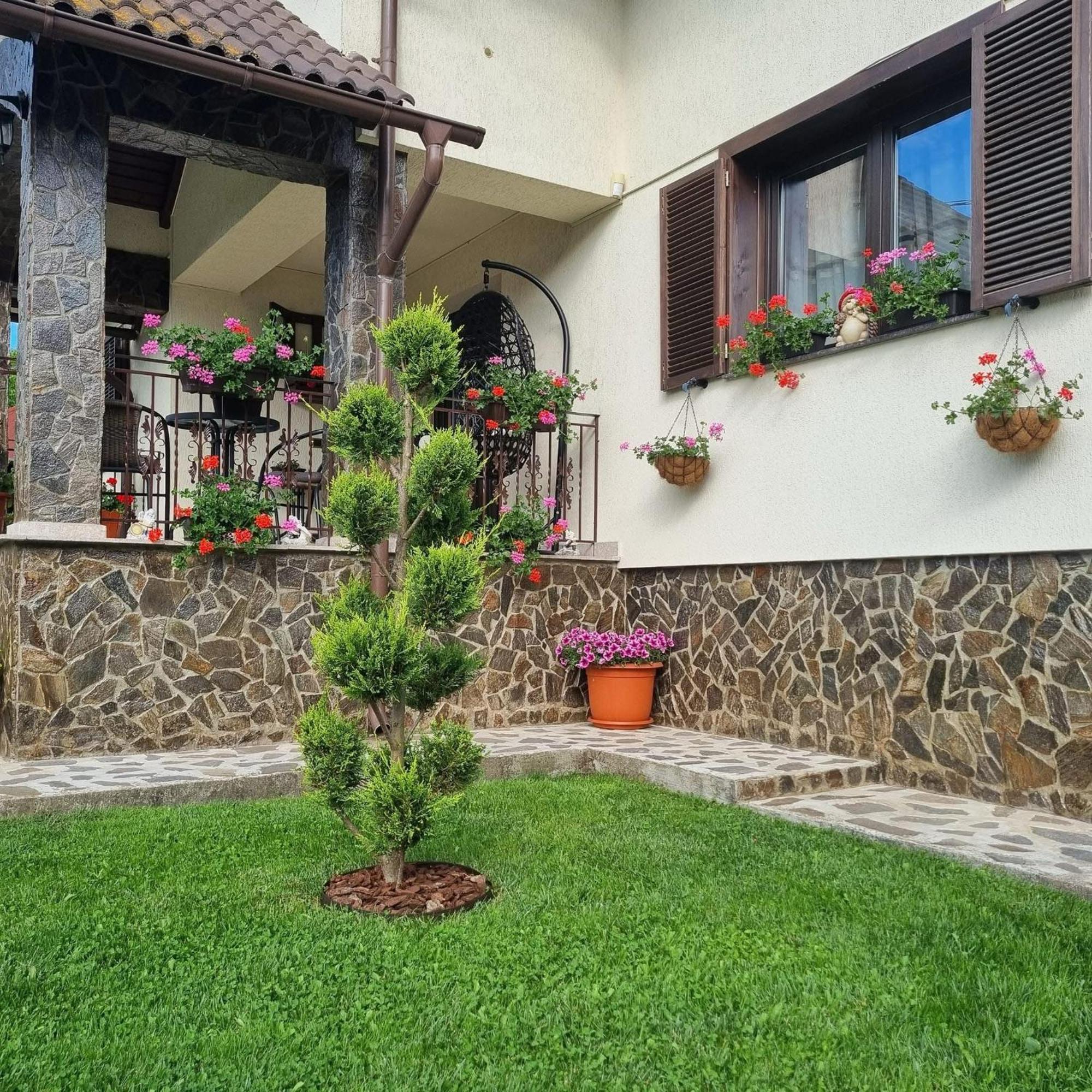 Pensiunea Select Curtea de Argeş Extérieur photo