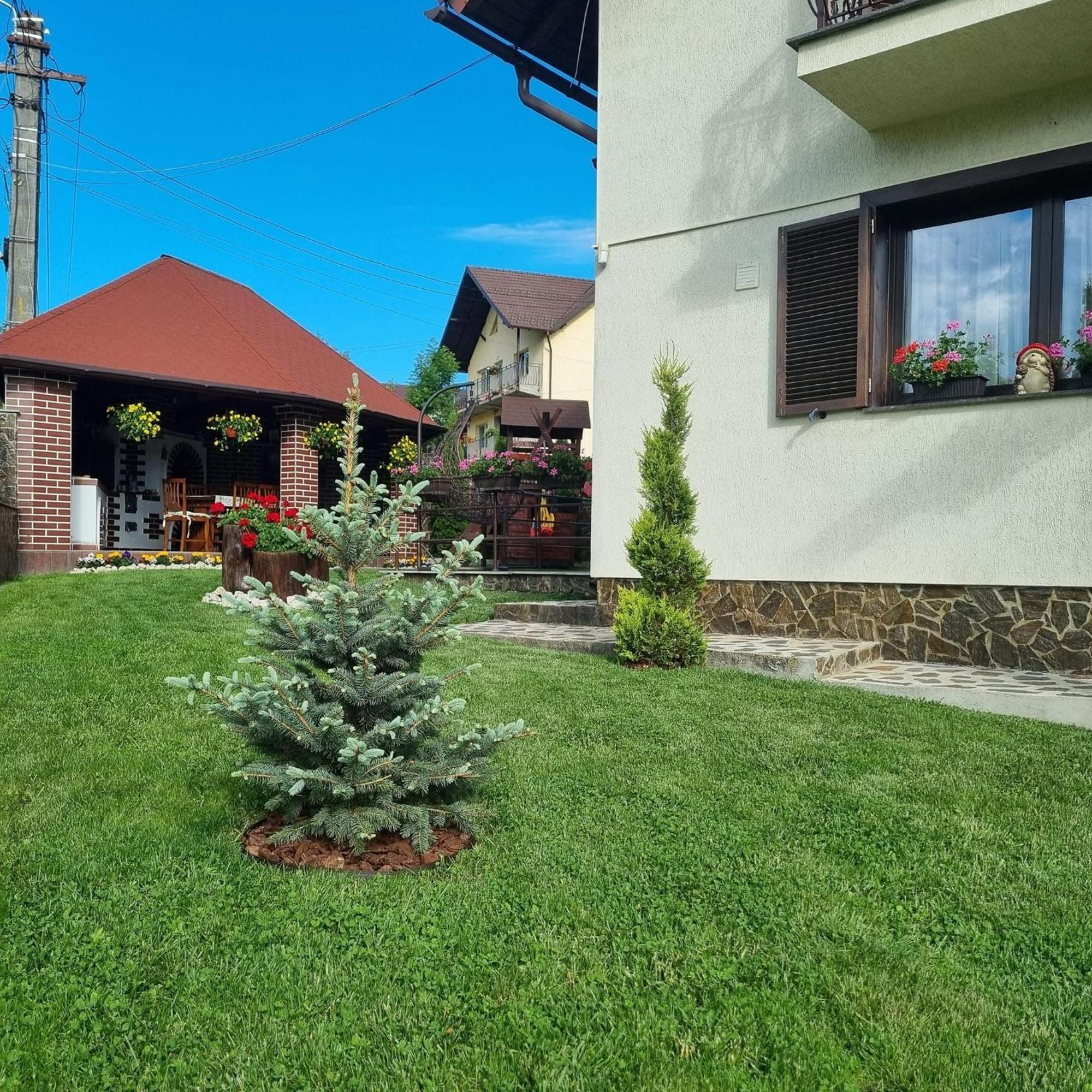 Pensiunea Select Curtea de Argeş Extérieur photo